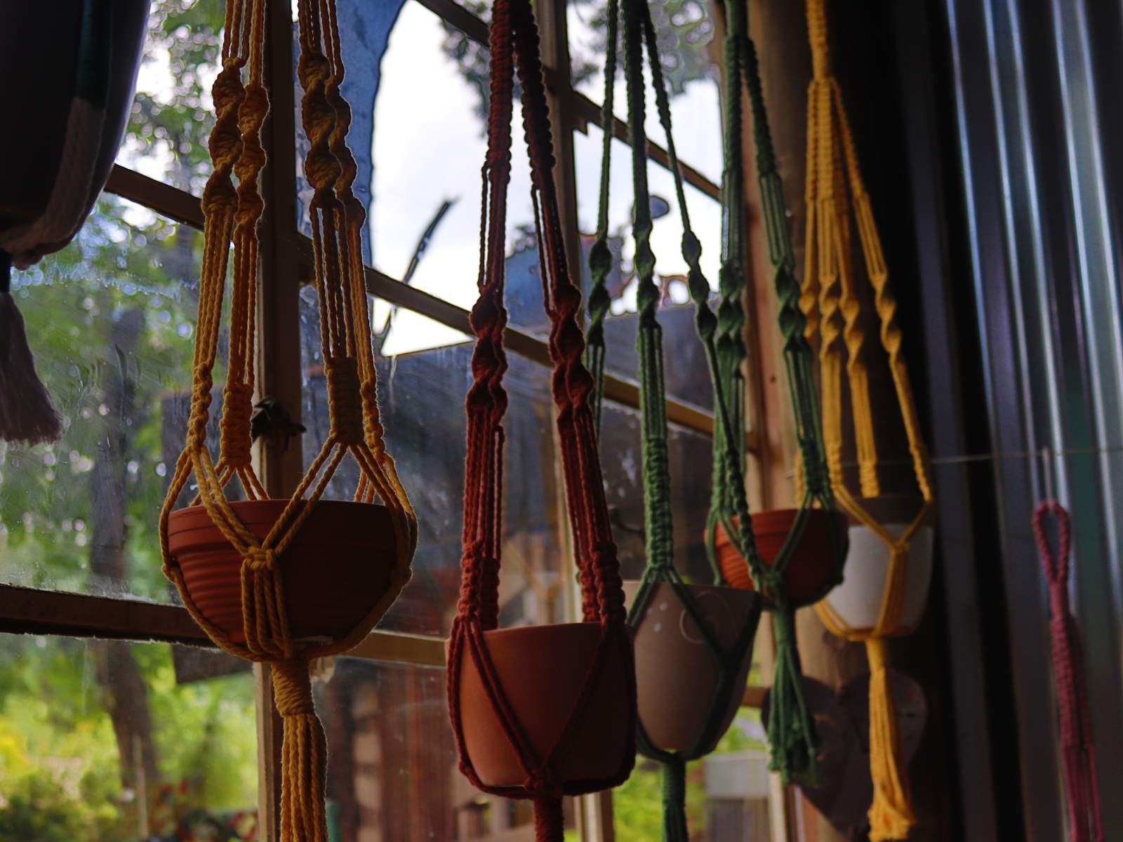 Untitled design - 11